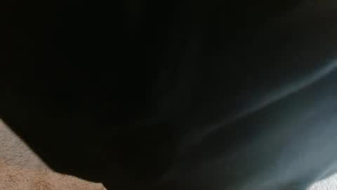 Snapshot of mikehey1 chatting on 1, 10, 2025 mikehey1 online show from 1, 10, 2025