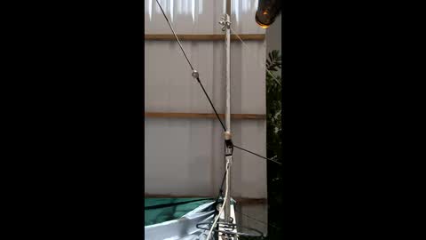 miky17cm online show from 10, 1, 2026