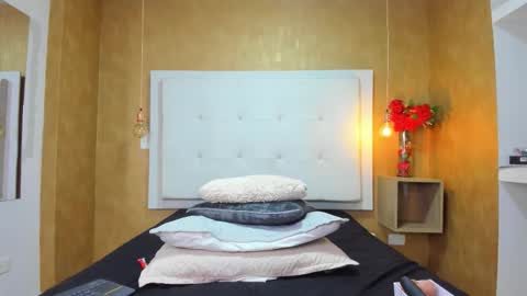          online show from 20, 2, 2026