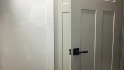 HungCollege online show from 17, 11, 2025