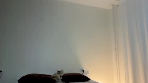 milky__way_ online show from 10, 1, 2026