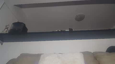 C online show from 13, 12, 2024