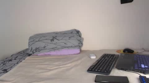 Noah online show from 27, 10, 2025