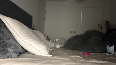 Mimi Monroe  online show from 9, 11, 2025