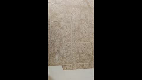 mineiro1514 online show from 1, 4, 2026