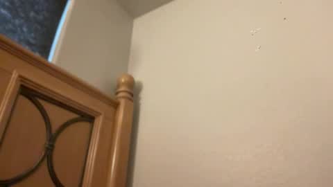 Minx online show from 11, 2, 2026