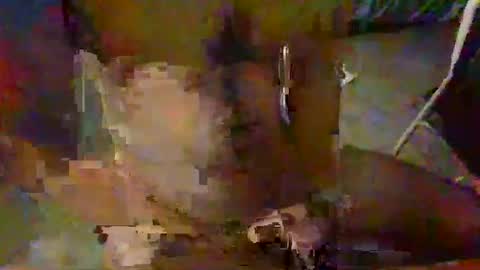 minoas31 online show from 9, 12, 2024