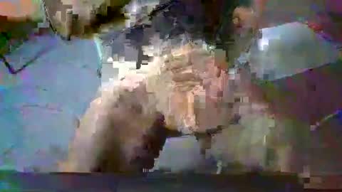 minoas31 online show from 13, 12, 2024