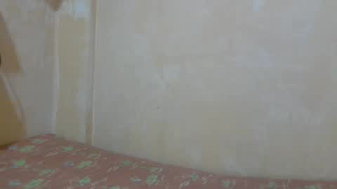 Im Ping online show from 11, 1, 2026