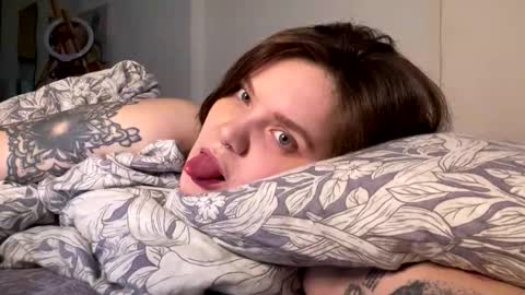 Sai online show from 1, 3, 2026