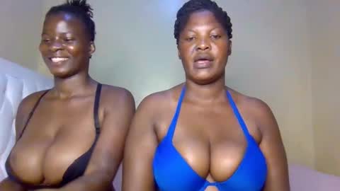 MILLY online show from 1, 2, 2026