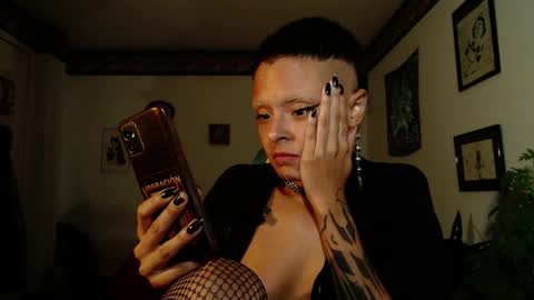 Anarkitten  online show from 5, 3, 2025