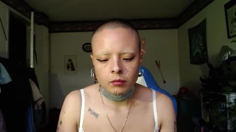 Anarkitten  online show from 30, 10, 2025