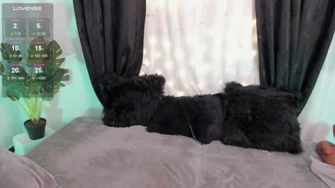 Alejandra  online show from 6, 12, 2024