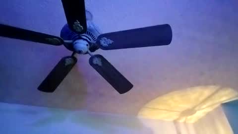 BobbyMitchGa online show from 10, 2, 2025