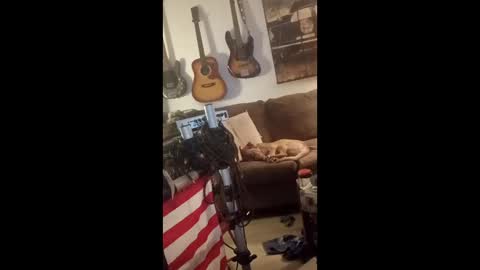 BobbyMitchGa online show from 29, 4, 2026
