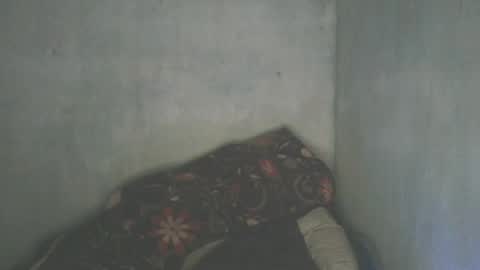 mitsh838354425 online show from 4, 7, 2026