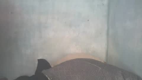 mitsh838354425 online show from 11, 7, 2026