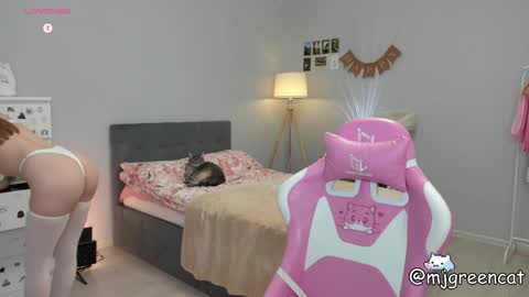 Snapshot of mjgreencat chatting on 27, 1, 2025 mj online show from 27, 1, 2025