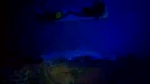 Daddy720 online show from 14, 10, 2025