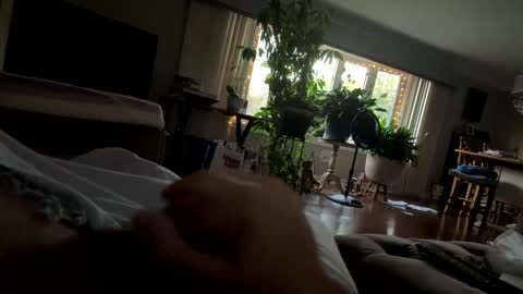 Snapshot of moethecheater7 chatting on 2, 10, 2025 moethecheater7 online show from 2, 10, 2025