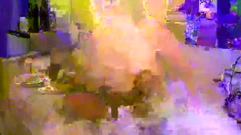 Fr online show from 2, 5, 2026