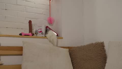 monicaasis online show from 17, 2, 2025