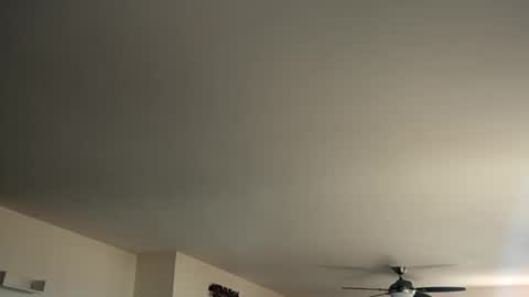 Monkee Dance online show from 12, 1, 2025