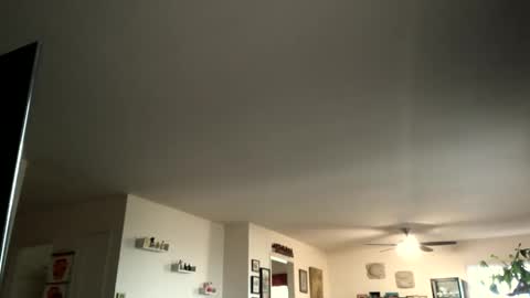 Monkee Dance online show from 4, 2, 2025