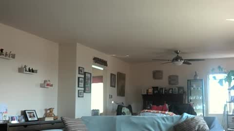 Monkee Dance online show from 3, 3, 2025