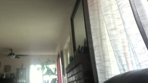 Monkee Dance online show from 12, 3, 2025