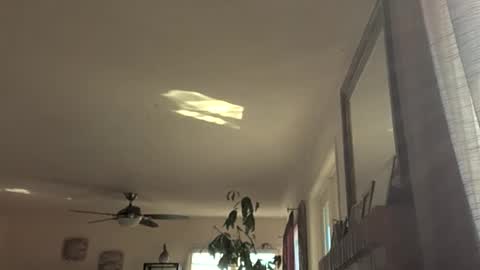 Monkee Dance online show from 18, 11, 2025