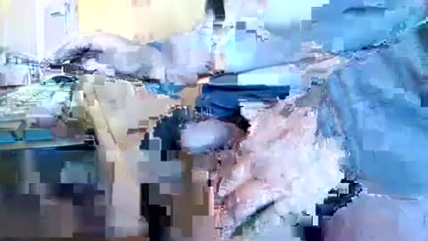 Snapshot of mookie2 chatting on 11, 1, 2025 mookie2 online show from 11, 1, 2025