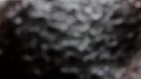 BouncyBoner online show from 8, 9, 2025