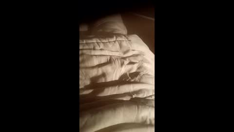 moos1 online show from 15, 10, 2025