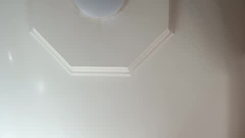 moos1 online show from 8, 2, 2026