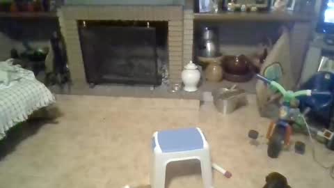 morenikoo26 online show from 19, 4, 2026