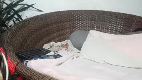 John john online show from 17, 2, 2025