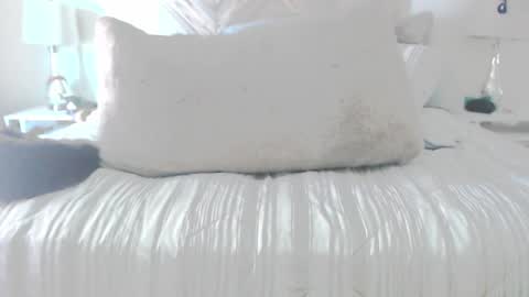 Snapshot of moreofthis chatting on 2, 3, 2026 Didier online show from 2, 3, 2026