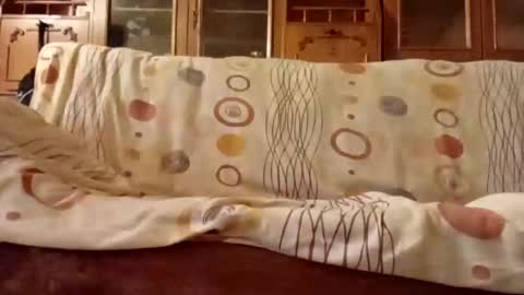 Nomadu online show from 11, 12, 2024