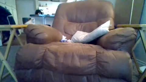 Snapshot of motodub chatting on 1, 3, 2025 motodub online show from 1, 3, 2025