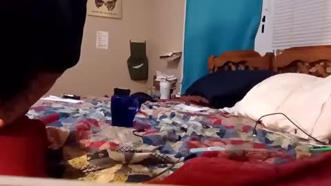 Snapshot of mottsmuff chatting on 4, 2, 2025 B online show from 4, 2, 2025