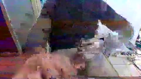 mppempis81 online show from 15, 11, 2025