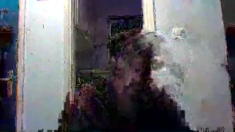 mppempis81 online show from 13, 12, 2025