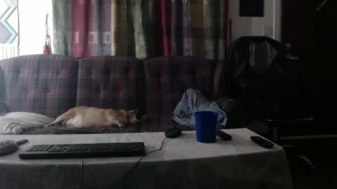 mr_happy12 online show from 23, 9, 2025