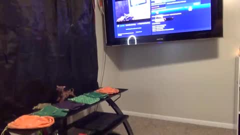 whateveryouwant online show from 3, 1, 2025