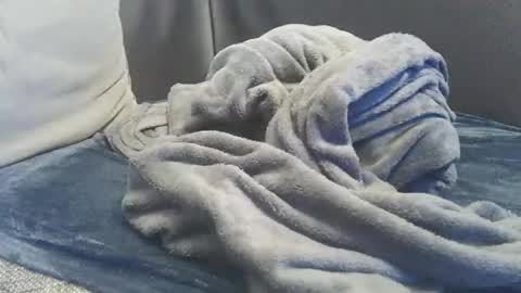 Snapshot of mranal93 chatting on 15, 2, 2025 mranal93 online show from 15, 2, 2025