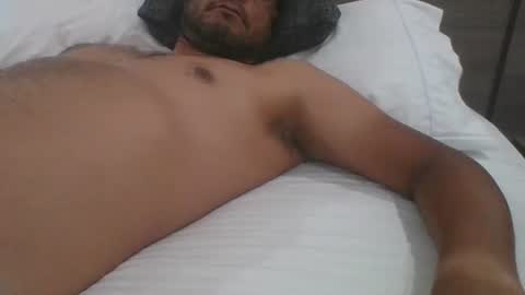 Gato online show from 2, 12, 2024