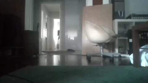 Nikola online show from 4, 2, 2026