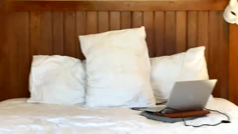 Max online show from 8, 6, 2026